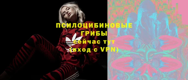 бошки Алексин