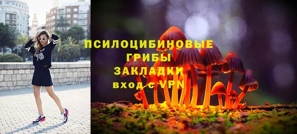 бошки Алексин