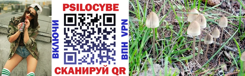 Псилоцибиновые грибы Cubensis  Купить  Болхов 